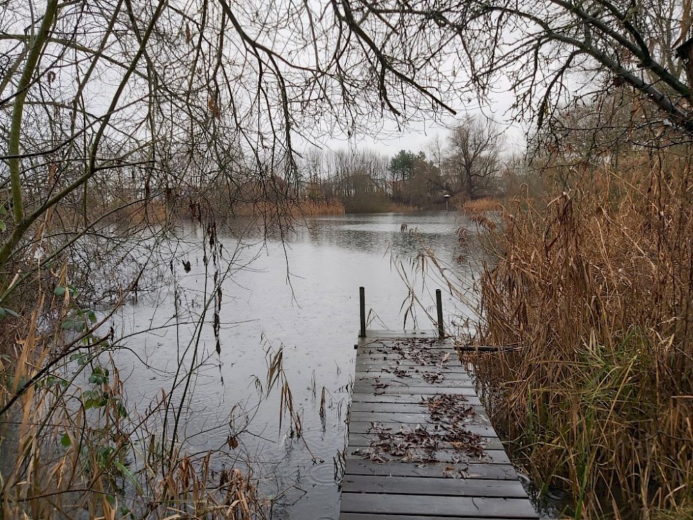 Gut gefüllter große Teich mit Steg Foto: Bernd Rabe