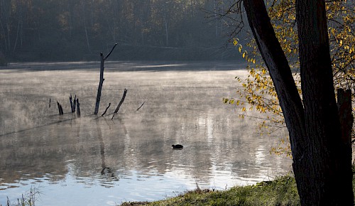 Frostige Morgenstimmung am Moorhüttenteich
Foto: Michael Theeß