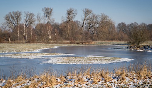 Vereist sind die Wasserflächen der noch immer überschwemmten Schunteraue  Foto: Michael Theess