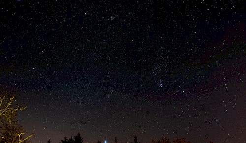 Das markante Sternbild Orion dominiert den Winterhimmel.
