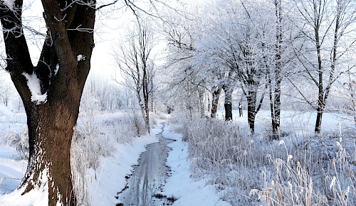 Winterstimmung in den Rieselfeldern bei Watenbüttel   Foto: Heinz-Jürgen Heine-Köhler