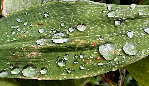 Nach dem ergiebigen Regen