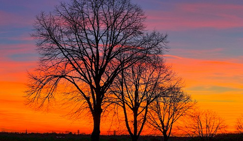 Abendrot über Braunschweig