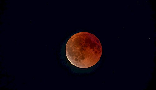 Die Totale Mondfinsternis vom 7. September konnte auch in unserer Region in den Abendstunden beobachtet werden. Dabei ging der Mond als Blutmond schon total verfinstert auf.