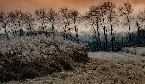 Winterliche Morgenstimmung im Schuntertal