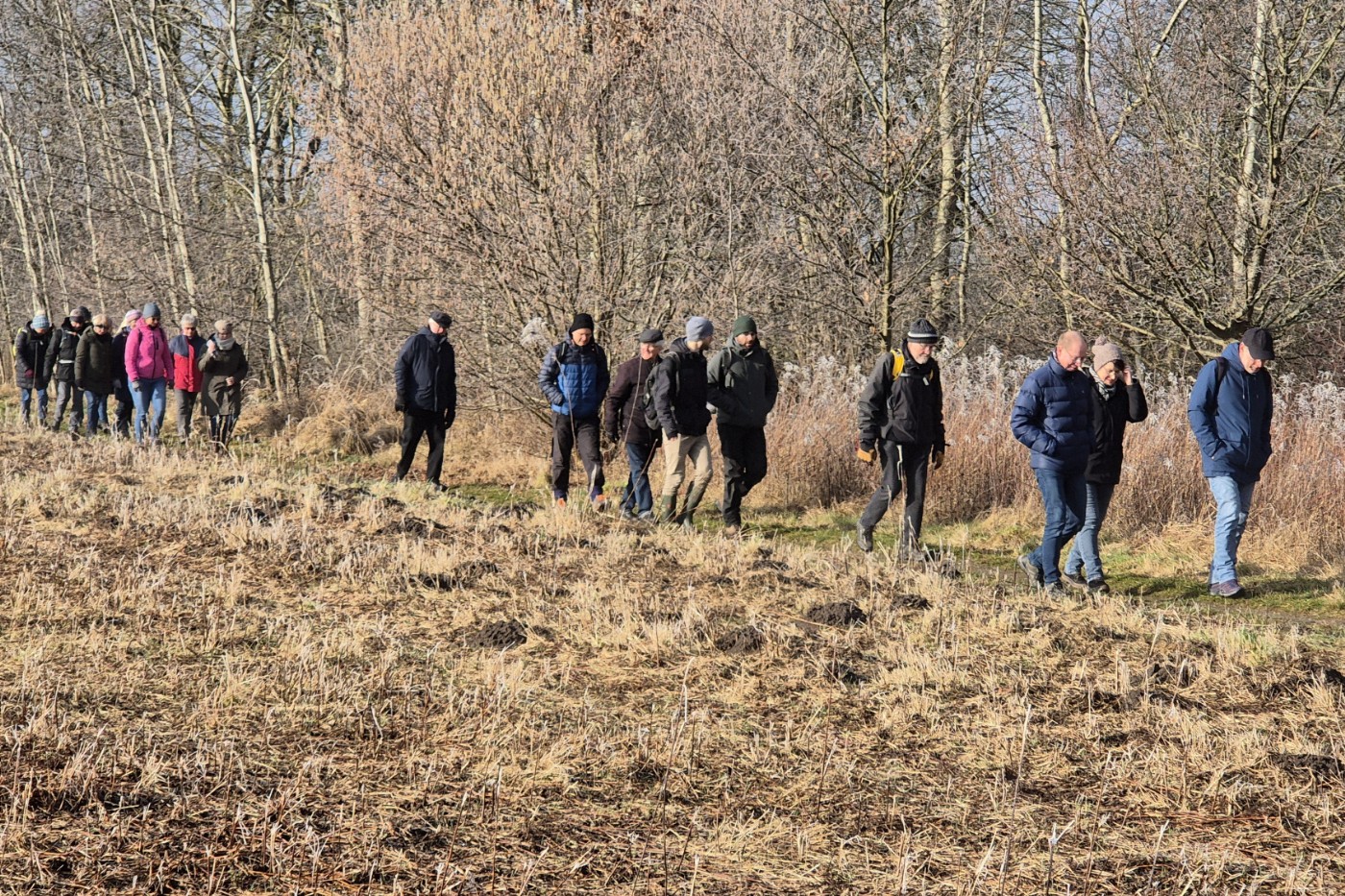 In der Feldmark zwischen Querum und Dibbesdorf